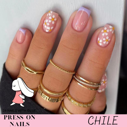 Press On Nails "Chile"